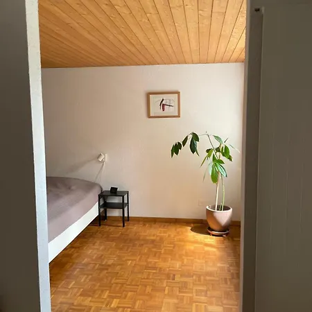 2.5 Zimmerwohnung, Pinut *