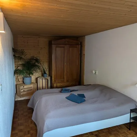 2.5 Zimmerwohnung, Pinut Trin